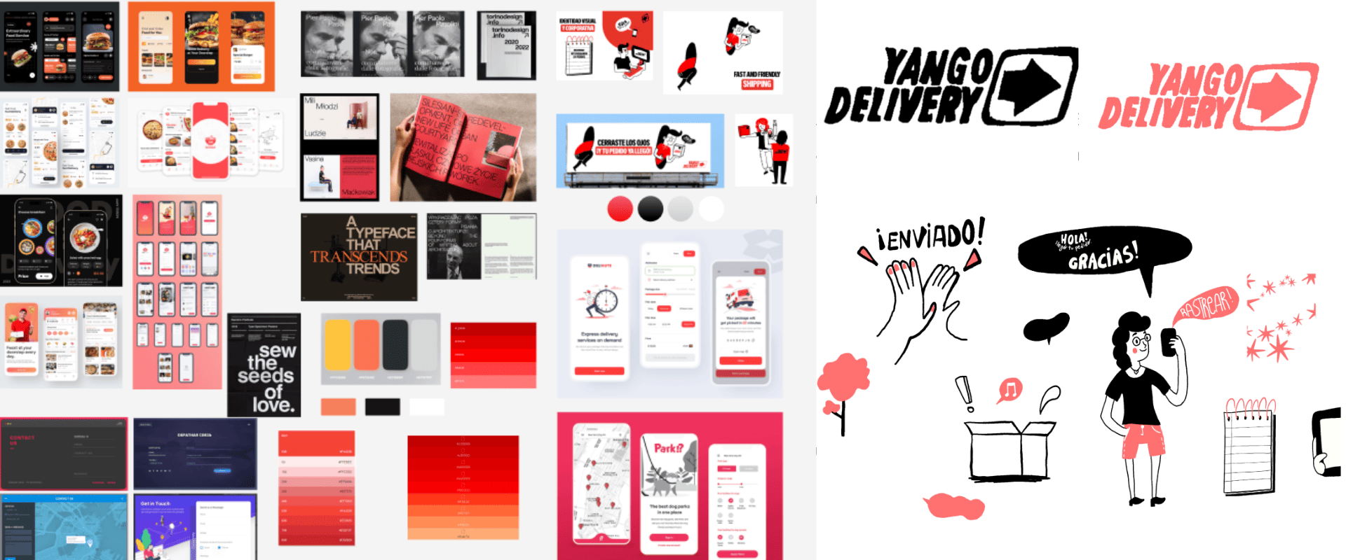 Project Illustration